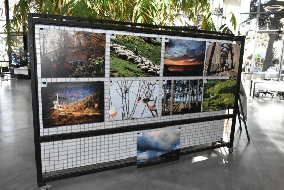 ‘Karadeniz Bölgesi Güzellikleri’ sergisi açıldı